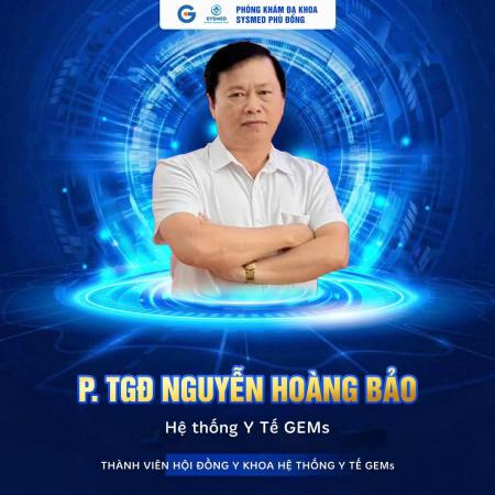 Phó Tổng Giám đốc Điều hành: NGUYỄN HOÀNG BẢO